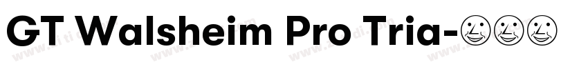 GT Walsheim Pro Tria字体转换